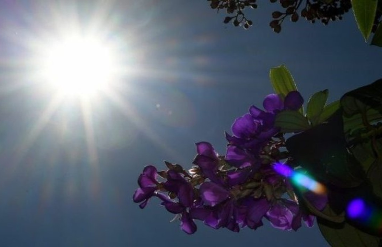 Com altas temperaturas, demanda por energia deve bater recorde para meses de setembro