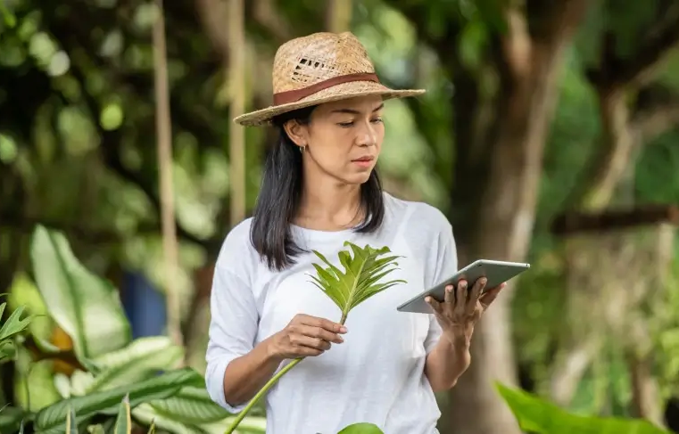 Inova Amazônia abre inscrições para pequenos negócios formalizados em operação