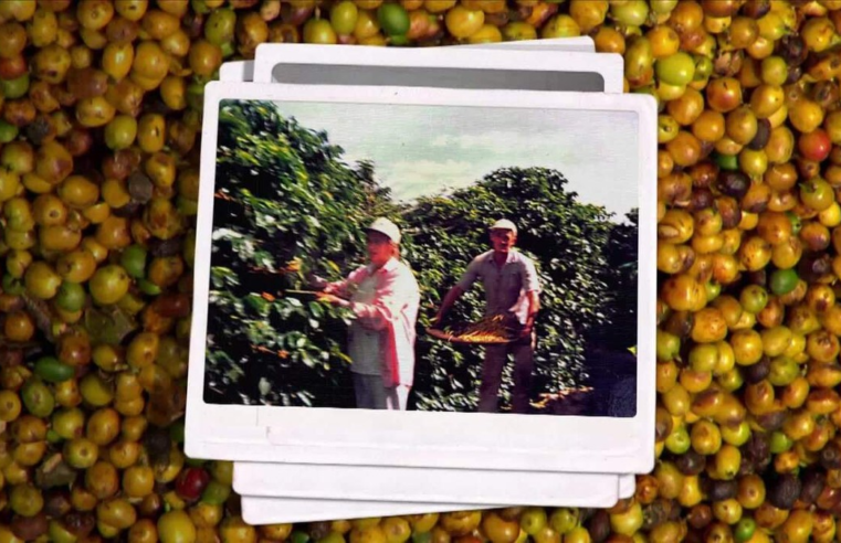 Café feminino: conheça a história de agricultoras que se uniram para ganhar voz em cooperativa e hoje têm até marca de grãos especiais