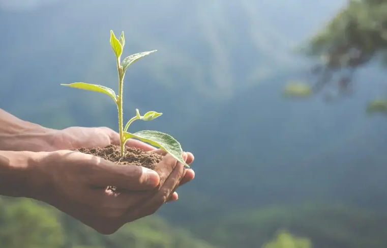 Encontro Impactos Positivos 2023: seja parte da mudança de que o mundo precisa!