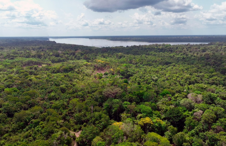 Tesouro começa a vender 'títulos verdes' no mercado externo