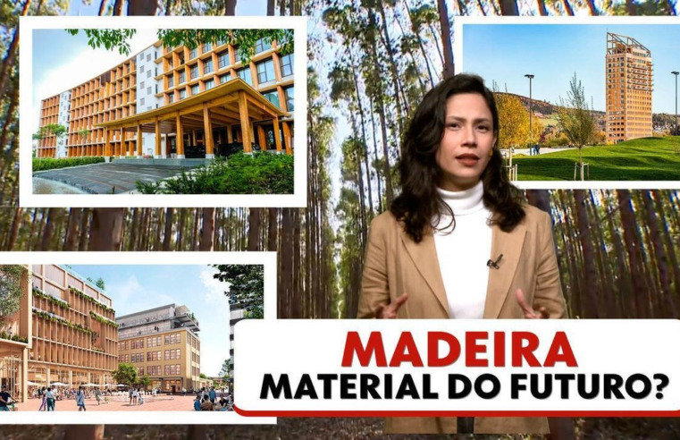 Cidade, faculdade e prédios de madeira: saiba por que o material é visto como o futuro da construção