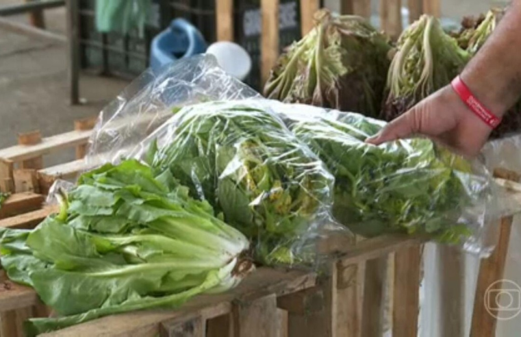 Frutas, hortaliças e legumes ficam mais caros após onda de calor