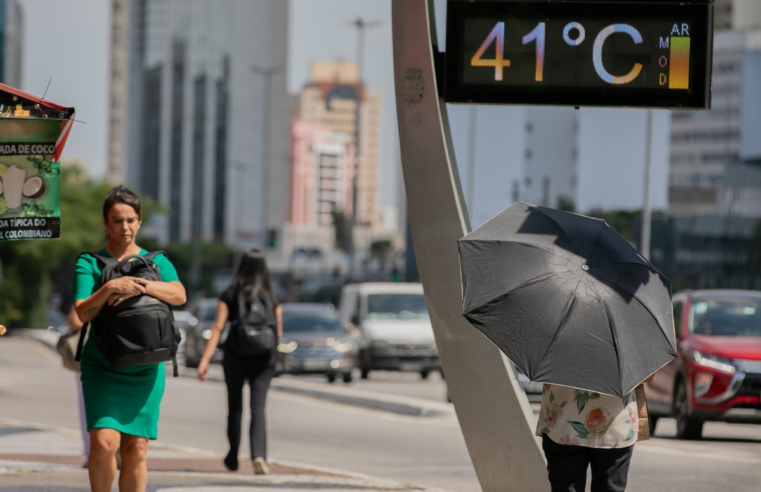 De ar-condicionado a tapete gelado para pets: a influência do calorão nas buscas para a Black Friday 2023