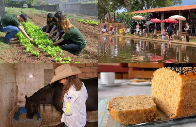 Retrospectiva 2023: reveja reportagens do Nosso Campo neste domingo, 14 de janeiro