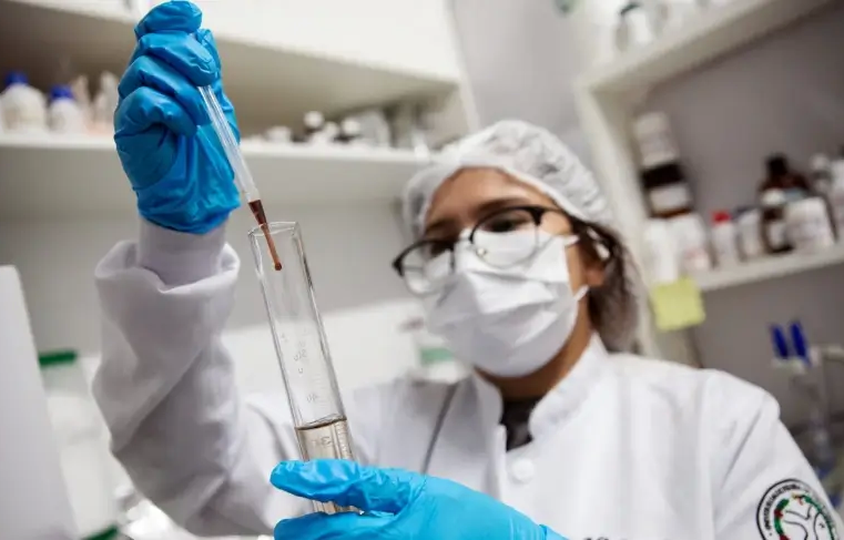 Guia aponta as melhores áreas para empreender em 2024