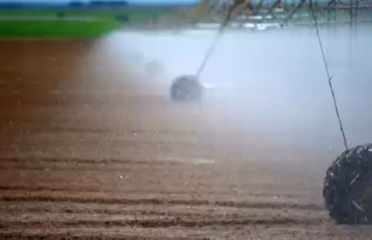 Futuro da agropecuária: Globo Rural percorre o Brasil e mostra exemplos de quem produz conservando a natureza