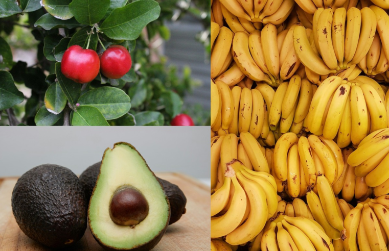 O que são alimentos funcionais? Saiba por que a acerola, o abacate e a banana entram nessa categoria