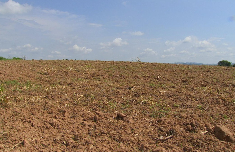 Terra valorizada dificulta expansão agrícola perto de áreas urbanas