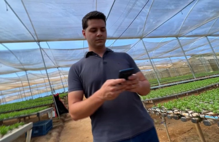 Aumenta adesão de produtores às compras on-line