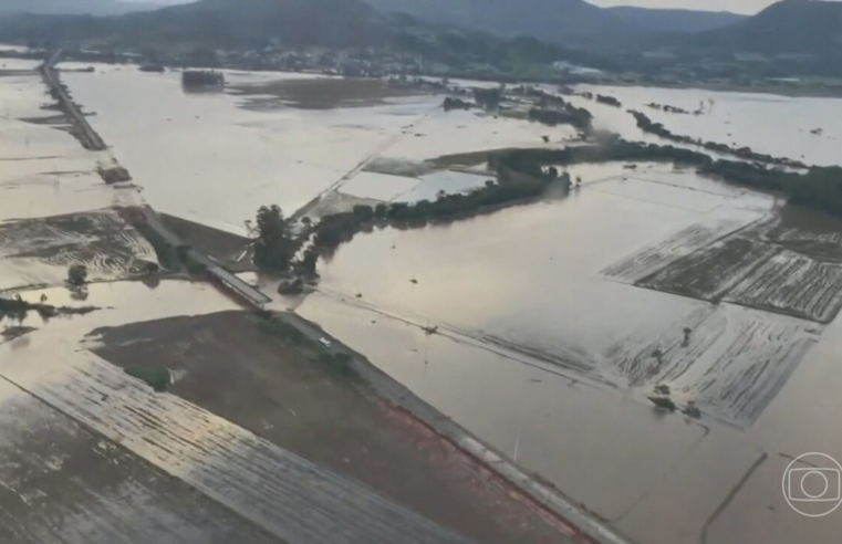 Globo Rural mostra as perdas nas plantações e criações no Rio Grande do Sul