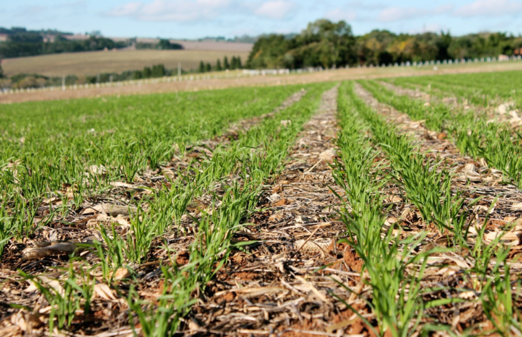 Mudanças climáticas influenciam na adoção de agropecuária mais sustentável, diz autor de estudo internacional