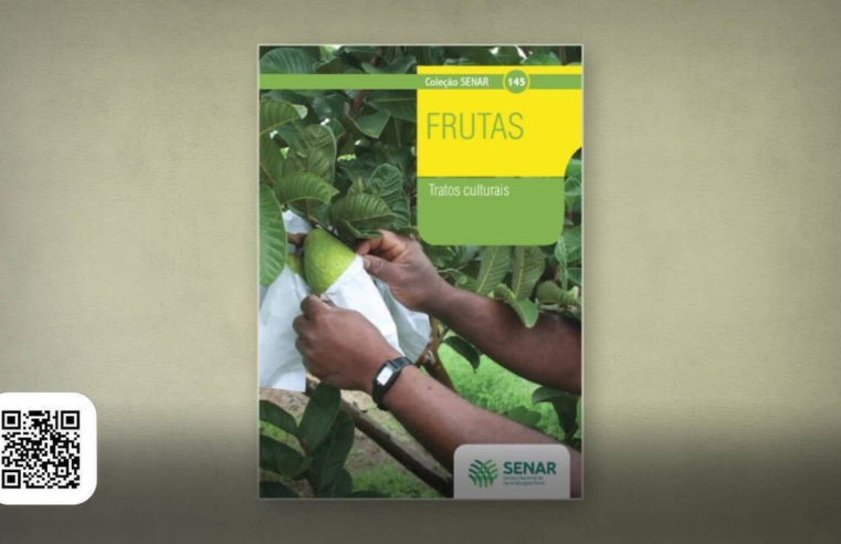 Veja como fazer o trato cultural no plantio de frutas