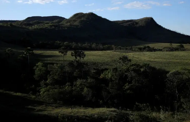 Editais para apoiar negócios inovadores no Pantanal e no Cerrado estão abertos