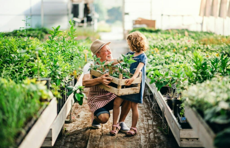 Agricultura Familiar Sustentável: Um guia para pequenos produtores