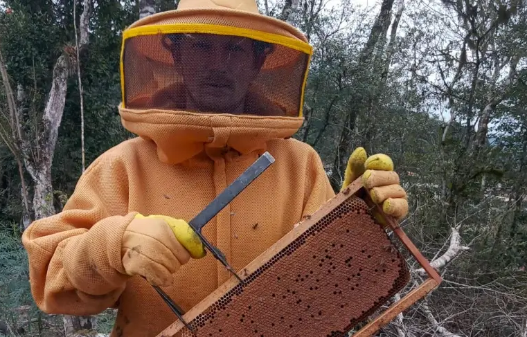 Pequenos produtores recebem selo que reconhece a qualidade do Mel