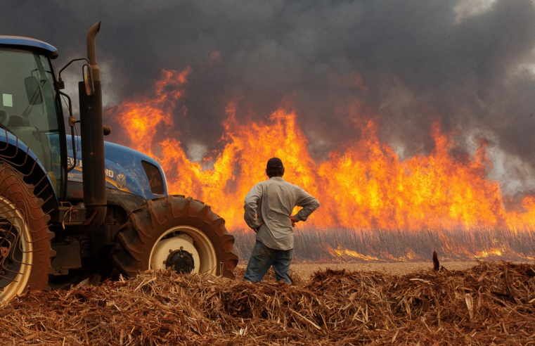 Incêndios causam prejuízos de mais de R$ 14 bilhões no campo