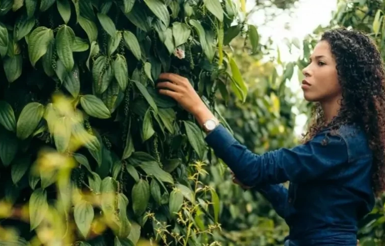 Empresária aposta na sustentabilidade para fomentar agricultura familiar no Pará