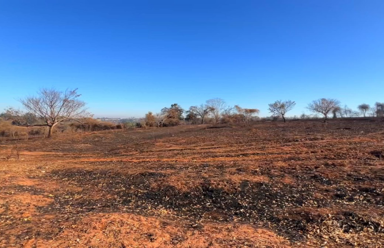 Produtores avaliam recuperação das áreas destruídas por incêndios