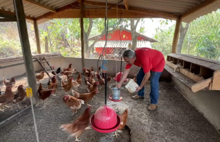 Vida na roça atrai quem não tem raízes na zona rural