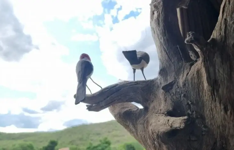 Ilha do Ferro: quando o imaginário popular vira arte