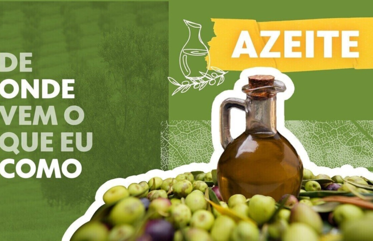 Governo proíbe a venda de 11 marcas de azeite: saiba como escolher o produto com segurança