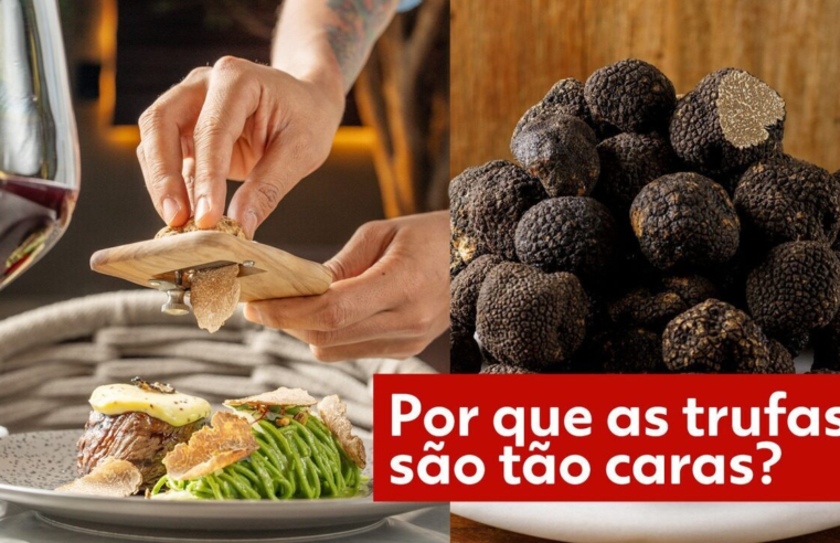 Trufas: por que esses fungos comestíveis, considerados 'diamantes da terra', são tão caros