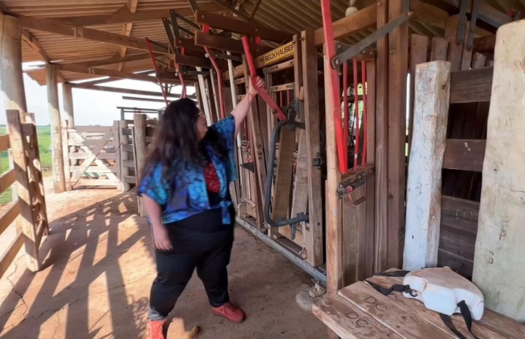 Mulheres mostram competência no comando da propriedade rural