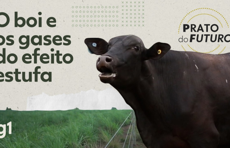 Série 'PF: prato do futuro' mostra soluções para o café resistir às ondas de calor