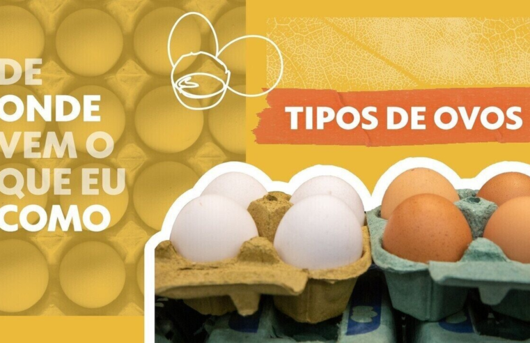 'Rei do ovo' brasileiro conclui compra de granja nos EUA