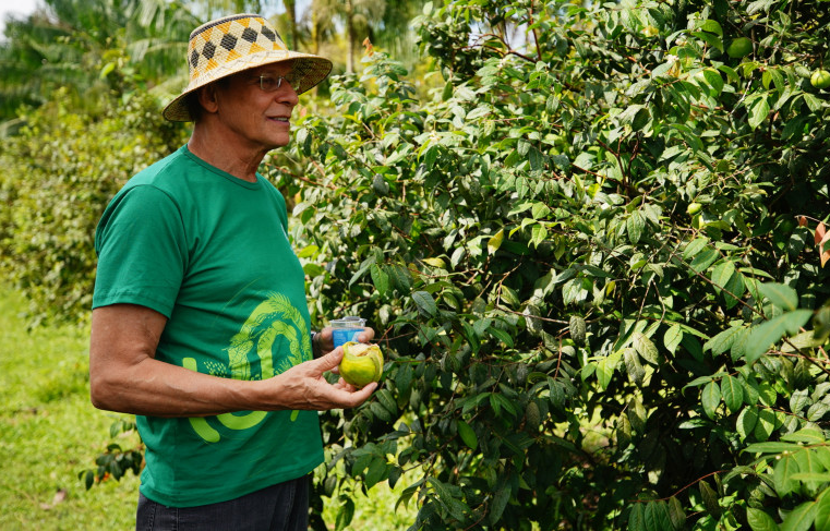 Novo modelo de desenvolvimento vai impulsionar empreendedorismo na Amazônia