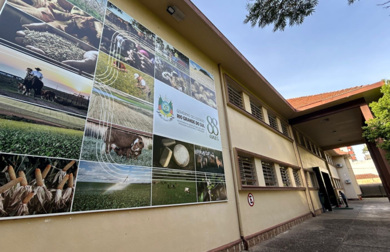 Primeiro caso de gripe aviária em granja comercial do Brasil é detectado no RS, diz Ministério da Agricultura