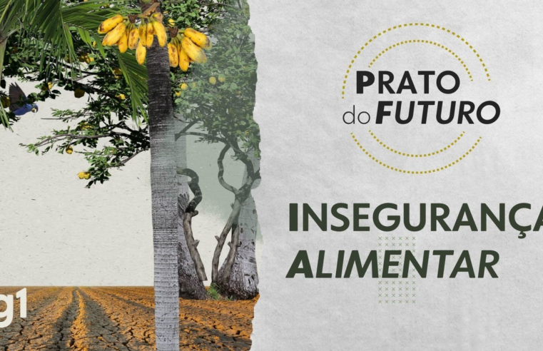 Por que o Brasil tem fome se é um grande produtor de alimentos?